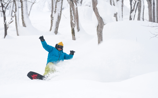 Japan Powder Snowboard Tour